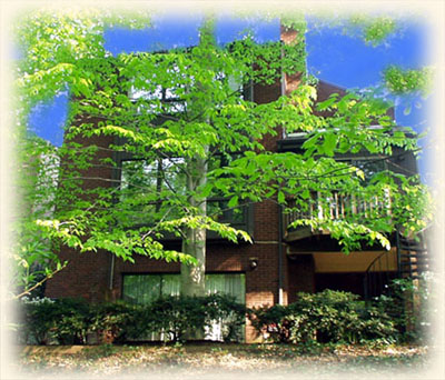 Rear View of Home Opens to Wooded Area of Oak, Beech, Poplar, and Ash
